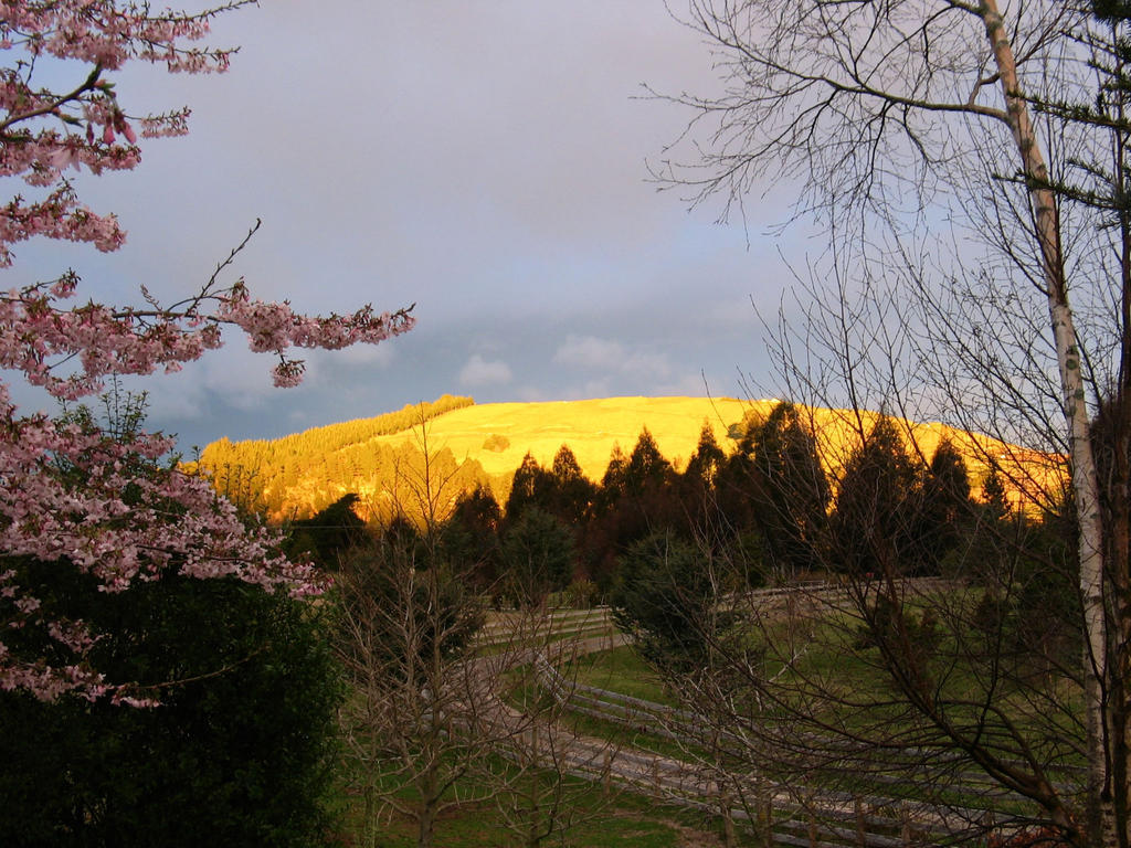 Whakaipo Lodge Taupo Exterior foto